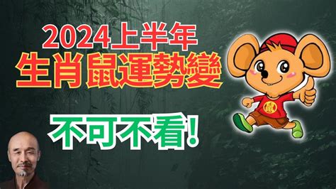 2024鼠年運程1972|1972年属鼠人2024年运势及运程男，72年52岁生肖鼠2024年全年。